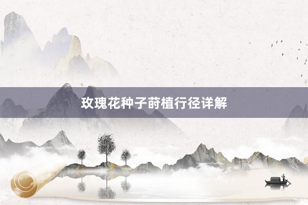 玫瑰花种子莳植行径详解
