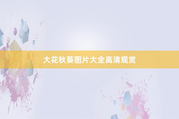 大花秋葵图片大全高清观赏