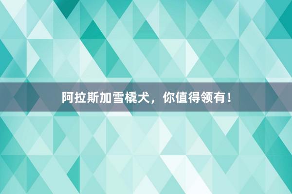 阿拉斯加雪橇犬，你值得领有！