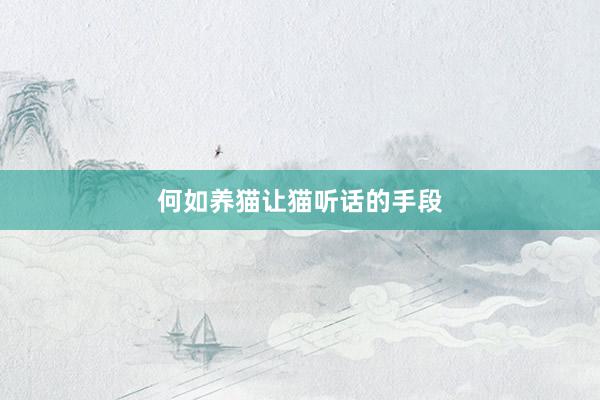何如养猫让猫听话的手段